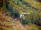 logging-11