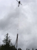 logging2
