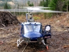 logging6